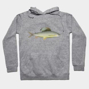 Baikal White Grayling Hoodie